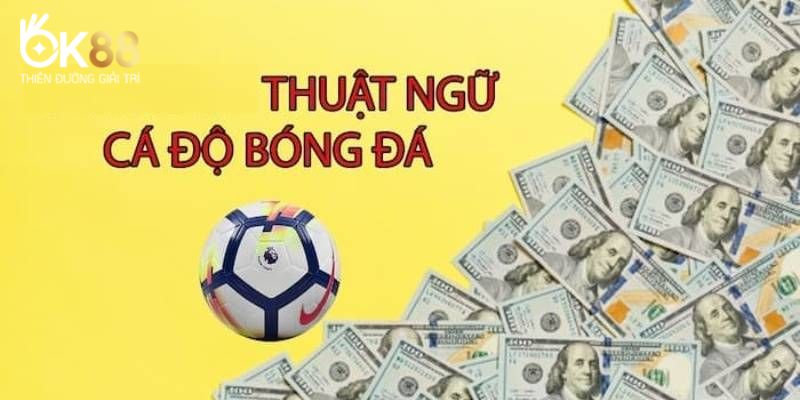 Thuật ngữ cá độ bóng đá được vận dụng để chơi cược đơn giản